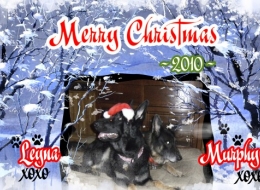 2010-12_christmas_card
