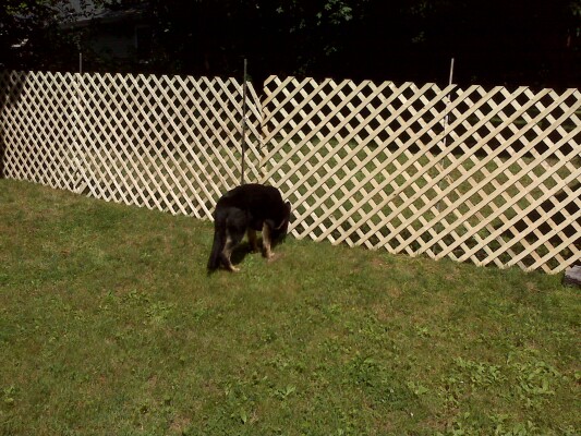 2010-06_00113